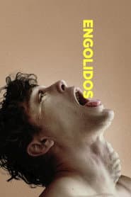 Poster for Engolidos