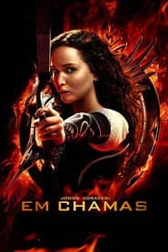 Pôster de Jogos Vorazes: Em Chamas