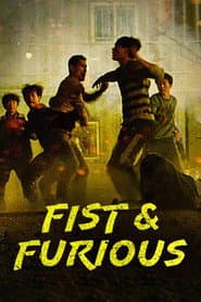 Affiche de Fist & Furious