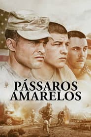 Póster de Pássaros Amarelos