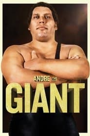 Affiche de Andre the Giant