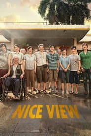Póster de Nice View
