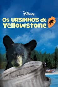 Póster de Os Ursinhos de Yellowstone