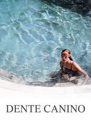 Affiche de Dente Canino