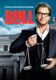 Affiche de Bull