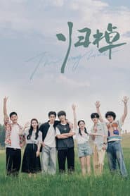 Affiche de The Way Home