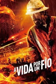 Poster for A Vida Por um Fio