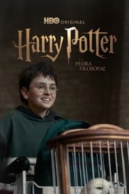 Pôster de Harry Potter