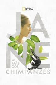 Pôster de Jane: A Mãe dos Chimpanzés