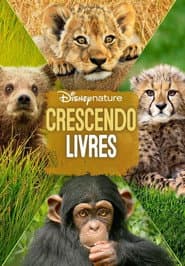 Poster for Crescendo Livres