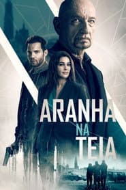 Affiche de Aranha na Teia