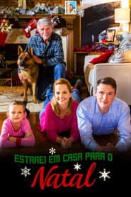 Poster for Estarei em Casa para o Natal
