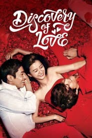 Póster de Descubriendo el amor