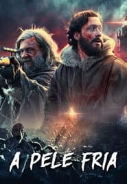 Póster de A Pele Fria