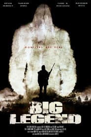 Póster de Big Legend