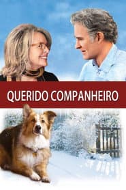 Affiche de Querido Companheiro