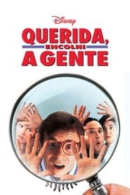Pôster de Querida, Encolhi a Gente