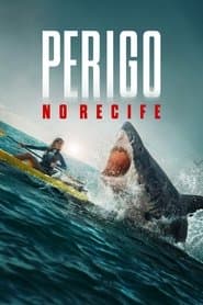 Pôster de Perigo no Recife
