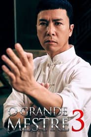 Poster for O Grande Mestre 3