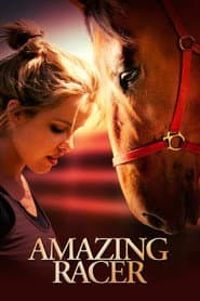 Póster de Amazing Racer