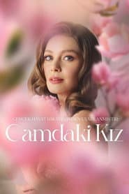 Póster de Camdaki Kız