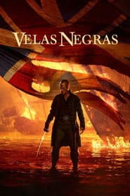 Poster for Black Sails