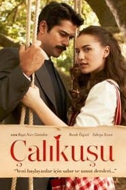Poster for Çalıkuşu