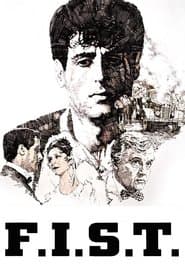 Póster de F.I.S.T.