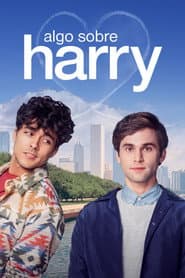 Póster de Algo Sobre Harry