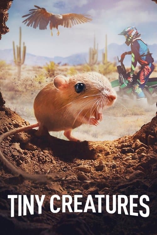 Póster de Fauna minúscula