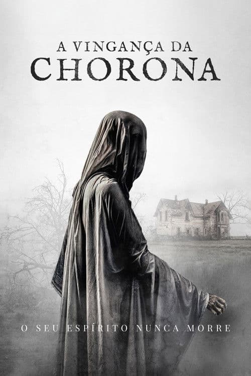Pôster de A Vingança da Chorona