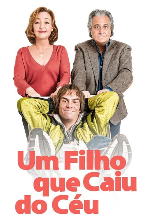 Poster for Finding Momo