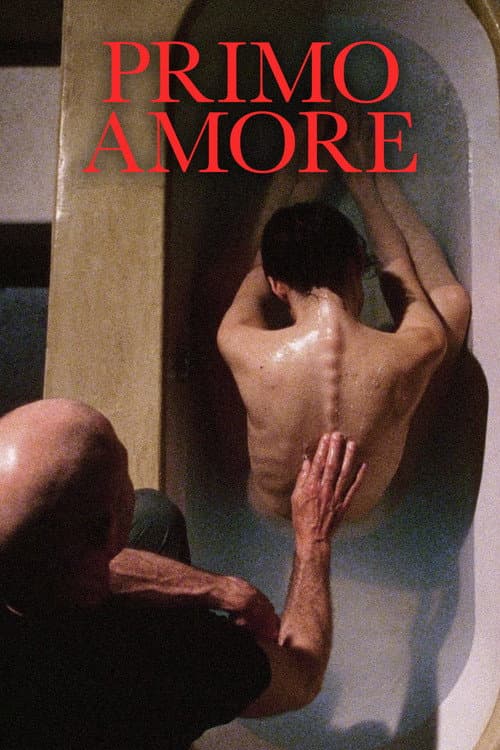 Poster for First Love
