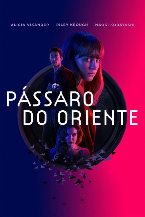 Affiche de L'Oiseau-tempête