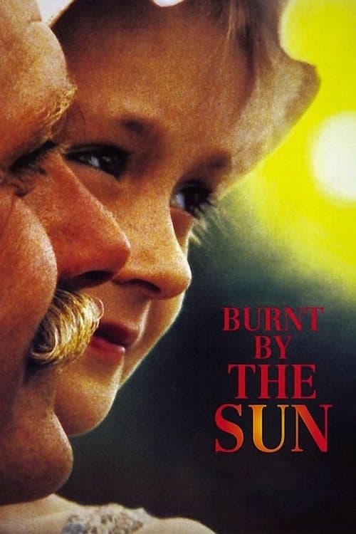 Póster de O Sol Enganador