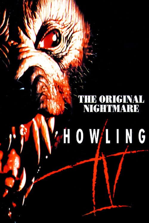 Affiche de Grito de Horror 4: Um Arrepio na Noite