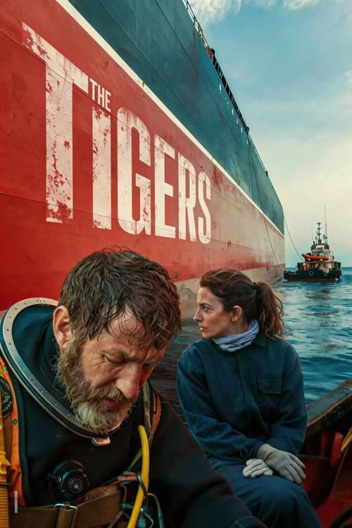 Affiche de Los Tigres