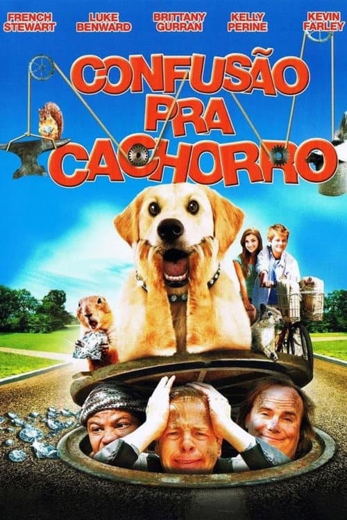 Affiche de Le Chien Milliardaire