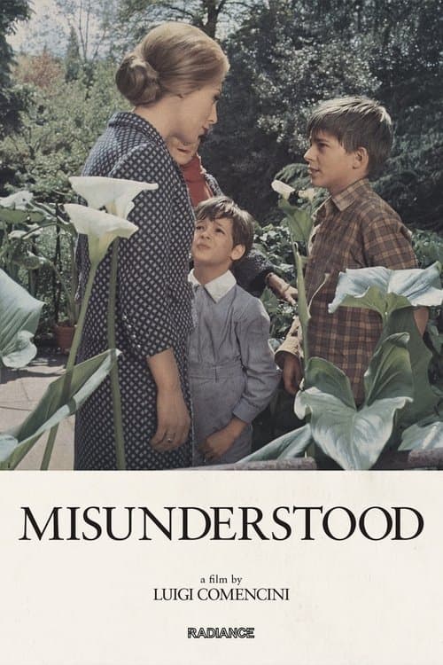 Poster for Misunderstood