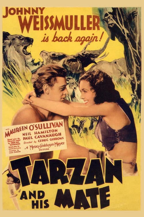 Poster for Tarzan and His Mate