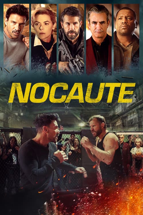 Affiche de Underground Fights