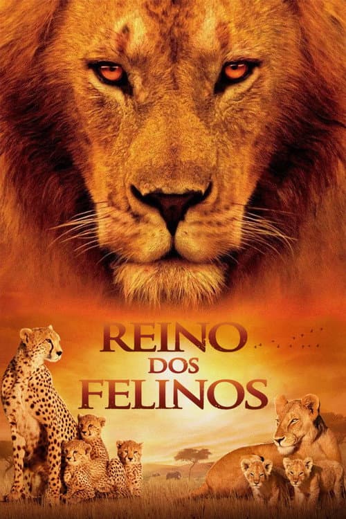 Poster for Reino dos Felinos