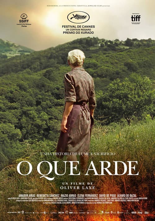Pôster de O que arde