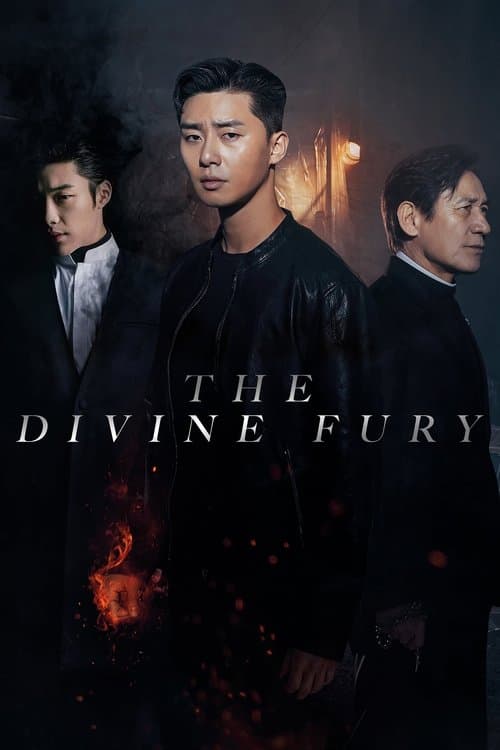 Póster de The Divine Fury