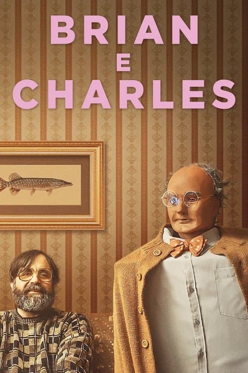 Affiche de Brian et Charles