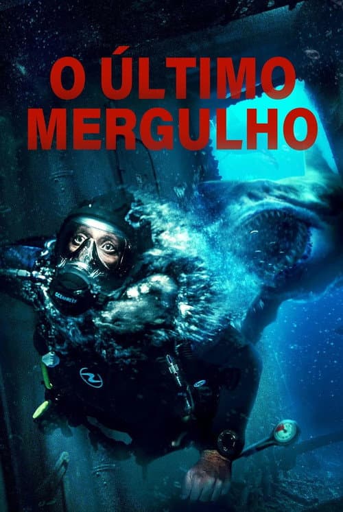 Affiche de La Dernière Plongée