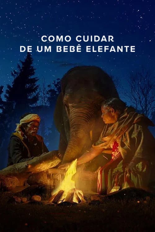 Affiche de Ceux qui murmuraient à l'oreille de l'éléphanteau