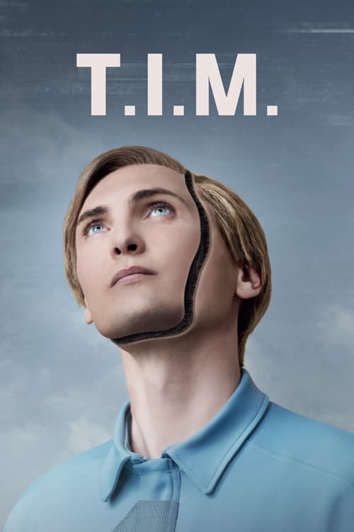 Póster de Robot doméstico (T.I.M.)
