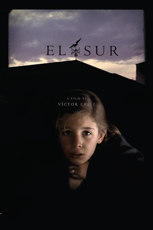 Poster for O Sul
