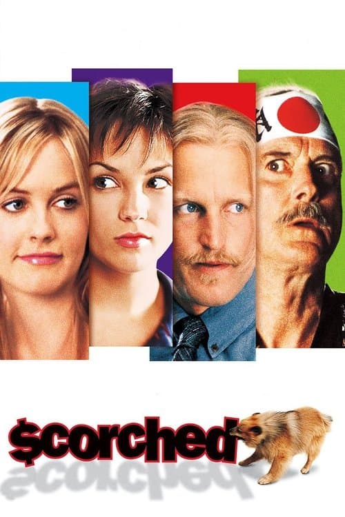 Affiche de Quem Vai Pagar o Pato?